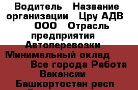 Водитель › Название организации ­ Цру АДВ777, ООО › Отрасль предприятия ­ Автоперевозки › Минимальный оклад ­ 110 000 - Все города Работа » Вакансии   . Башкортостан респ.,Баймакский р-н